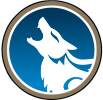 Kartenhüllen / Cardsleeves