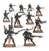 Kabalenkrieger der Drukhari