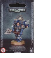 Hoher Vollstrecker der Space Marines
