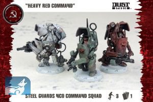 SSU Steel Guards NCO Command Squad