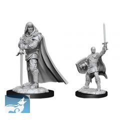 D&D Nolzurs Marvelous Miniatures: Human Paladin Male