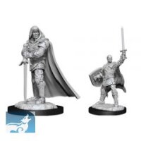 D&D Nolzurs Marvelous Miniatures: Human Paladin Male