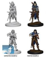 Pathfinder Deep Cuts Unpainted Miniatures: Elf Female Bard