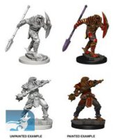D&D Nolzurs Marvelous Miniatures: Dragonborn Male...
