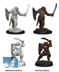 D&D Nolzurs Marvelous Miniatures: Dragonborn Female Paladin