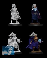 D&D Nolzurs Marvelous Miniatures: Human Sorcerer (female)