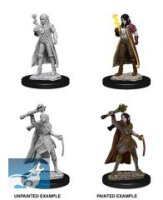 D&D Nolzurs Marvelous Miniatures: Female Elf Cleric