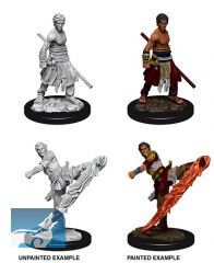 D&D Nolzurs Marvelous Miniatures: Male Half-Elf Monk