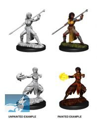 D&D Nolzurs Marvelous Miniatures: Female Half-Elf Monk