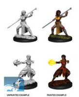 D&D Nolzurs Marvelous Miniatures: Female Half-Elf Monk