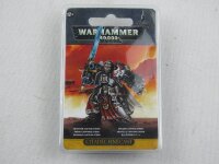 WH40K: Grey Knight Captain Stern FineCast