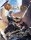 Arcanis 5E Children of the Sky