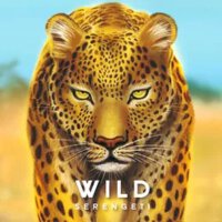 Wild Serengeti (English Version)