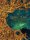 The Emerald Flame (english)