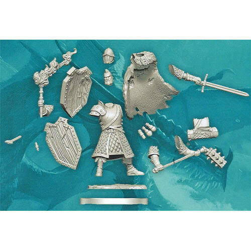 D&D Frameworks W01 Human Fighter Male