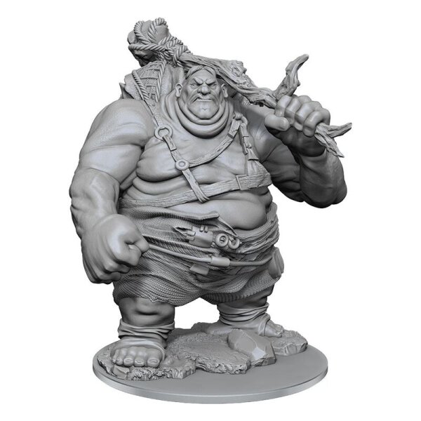 D&D Nolzurs Marvelous Minis W17 Hill Giant