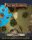 Flip-Mat: Swamp Ruins