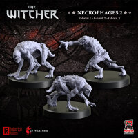 The Witcher RPG Necrophages 2 &ndash; Ghouls