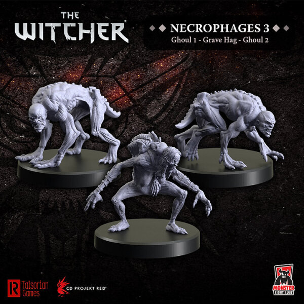 The Witcher RPG Necrophages 3 – Ghouls and Grave Hag