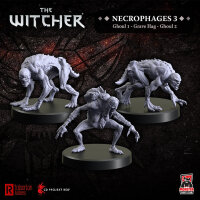 The Witcher RPG Necrophages 3 &ndash; Ghouls and Grave Hag