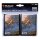 The Lord of the Rings: Tales of Middle-earth Éowyn Standard Deck Protector Sleeves (100ct) for Magic: The Gathering