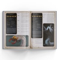 Dark Souls RPG The Tome of Strange Beings