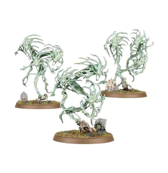 Nighthaunt Geisterscharen