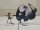 Exceed Under Night In-Birth Standees