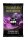 Magic Items Card Booster Pack 5E Level 1 MOQ2 (english)