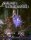 Shadow of the Weird Wizard RPG (english)
