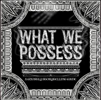 What We Possess (english)