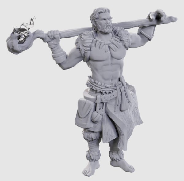 D&D Nolzurs Marvelous Minis W24 Archdruid & Martial Art Adept