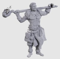 D&D Nolzurs Marvelous Minis W24 Archdruid &...