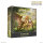 Heroes of Might and Magic III Rampart (deutsch)