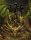 Dragon Thrones Core Set Slipcase 5E