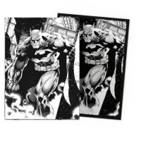 WB100 Matte Dual Art - Batman Core 2024 limited Edition