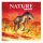 Nature Jurassic Module (english)