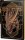 Battlezoo Ancestries Battle Dragons 5E Limited Edition