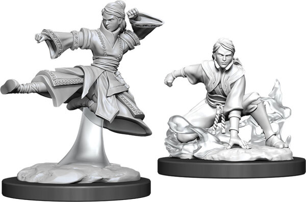 D&D Nolzurs Marvelous Miniatures W11 Female Human Monk MOQ2