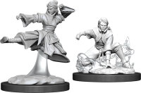 D&D Nolzurs Marvelous Miniatures W11 Female Human...