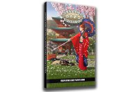 Savage Worlds Adventure Edition Players Book Cover B...