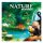 Nature Amazon Rainforest Module (english)