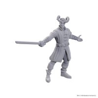 D&D Nolzurs Minis Special Edition Baldurs Gate 3 Wyll...