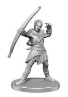 Pathfinder Battles Elf Hunter & Catfolk Bandit