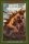 Dungeons and Dragons A Young Adventurers Guide Beasts & Behemoths HC