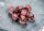 Lustrous® Polyhedral Gothic/copper 7-Die Set (with bonus die)