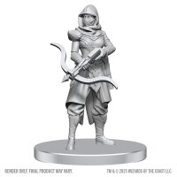 D&D Nolzurs Marvelous Minis W28 Assassin &...