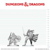 D&D Nolzurs Marvelous Minis W29 Dwarf Fighter &...