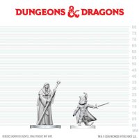 D&D Nolzurs Marvelous Minis W29 Cultist of Bhaal...