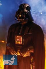 Star Wars FFG Art Sleeves Pack: Darth Vader